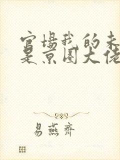 官场我的未婚妻是京圈大佬