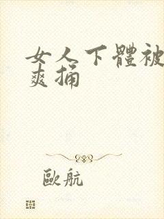 女人下体被男人爽捅