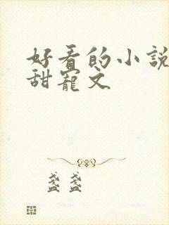 好看的小说言情甜宠文