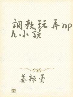 调教玩弄np高h小说