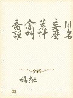 乔念叶妄川的小说叫什么名字