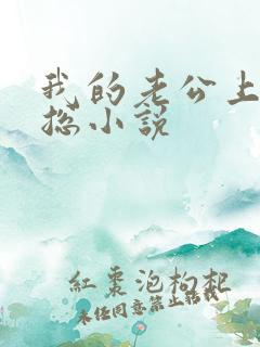 我的老公上司王总小说