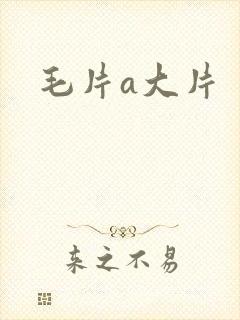 毛片a大片