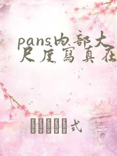pans内部大尺度写真在线观看