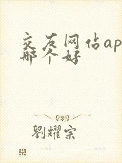 交友网站app哪个好