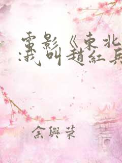 电影《东北往事:我叫赵红兵》