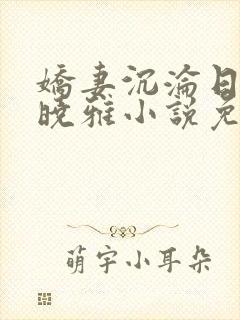 娇妻沉沦日记许晓雅小说免费阅读