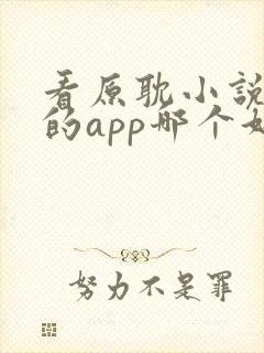 看原耽小说免费的app哪个好