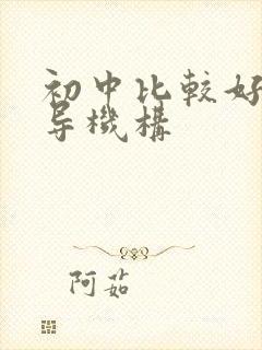 初中比较好的辅导机构