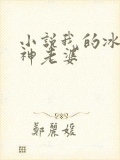 小说我的冰山女神老婆