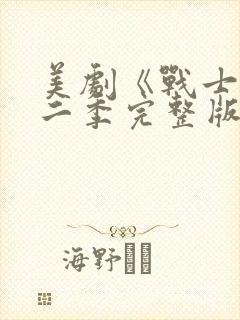 美剧《战士》第二季完整版在线观看