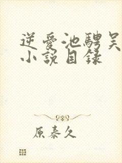 逆爱池骋吴所畏小说目录