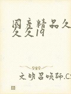 国产精品久久久久久19