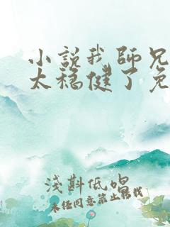 小说我师兄实在太稳健了免费完本