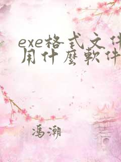 exe格式文件用什么软件打开