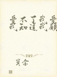 爱不了我爱的人我知道我愿意再等