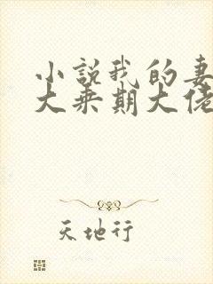 小说我的妻子是大乘期大佬txt