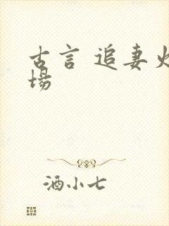 古言 追妻火葬场