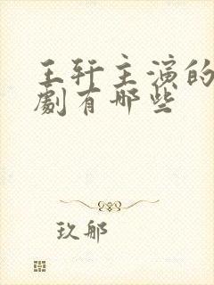 王轩主演的电视剧有哪些