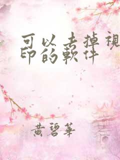 可以去掉视频水印的软件