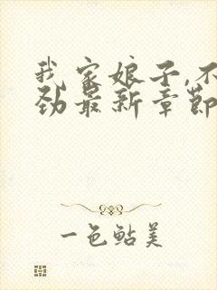 我家娘子,不对劲最新章节目录