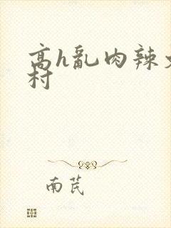 高h乱肉辣文乡村