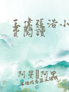 王伟张浩小说免费阅读