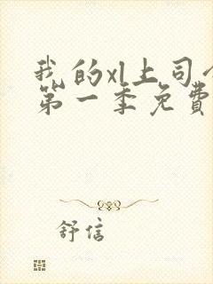 我的xl上司令第一季免费观看最新一期