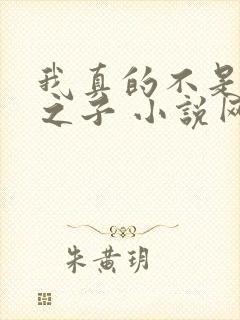 我真的不是气运之子 小说网