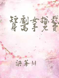 短剧女总裁的贴身高手免费观看全集