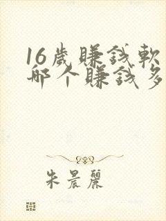 16岁赚钱软件哪个赚钱多,又安全