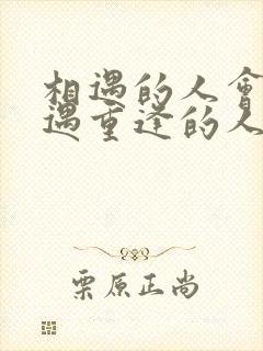 相遇的人会再相遇重逢的人会再重逢