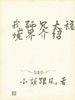 我师兄太稳健了境界介绍