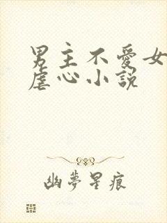 男主不爱女主的虐心小说