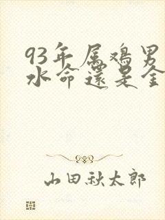 93年属鸡男是水命还是金命