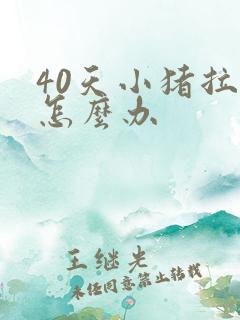 40天小猪拉稀怎么办