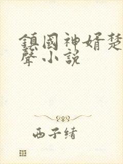 镇国神婿楚尘有声小说