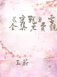 《密战》电视剧全集免费观看