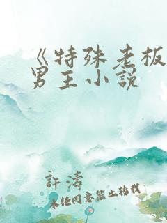 《特殊老板》双男主小说