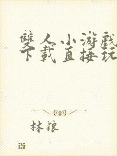 双人小游戏不用下载直接玩