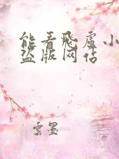 能看飞卢小说的盗版网站