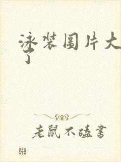 泳装图片大全集了