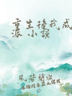 重生后我成了反派 小说