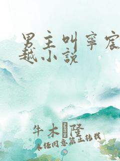 男主叫宁宸的穿越小说