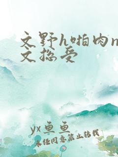 文野h啪肉np文总受