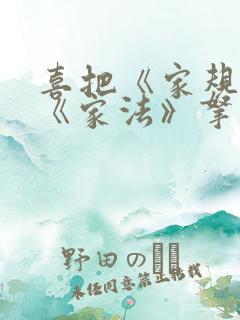 喜把《家规》和《家法》拿来叫我跪