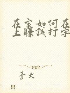 在家如何在手机上赚钱打字呢