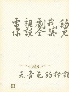 电视剧我的爱对你说全集免费观看