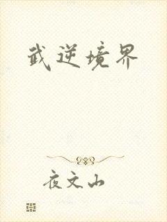 武逆境界