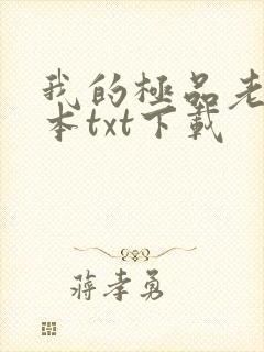 我的极品老婆全本txt下载